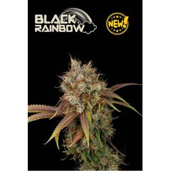 Black Rainbow, Фасовка: 1